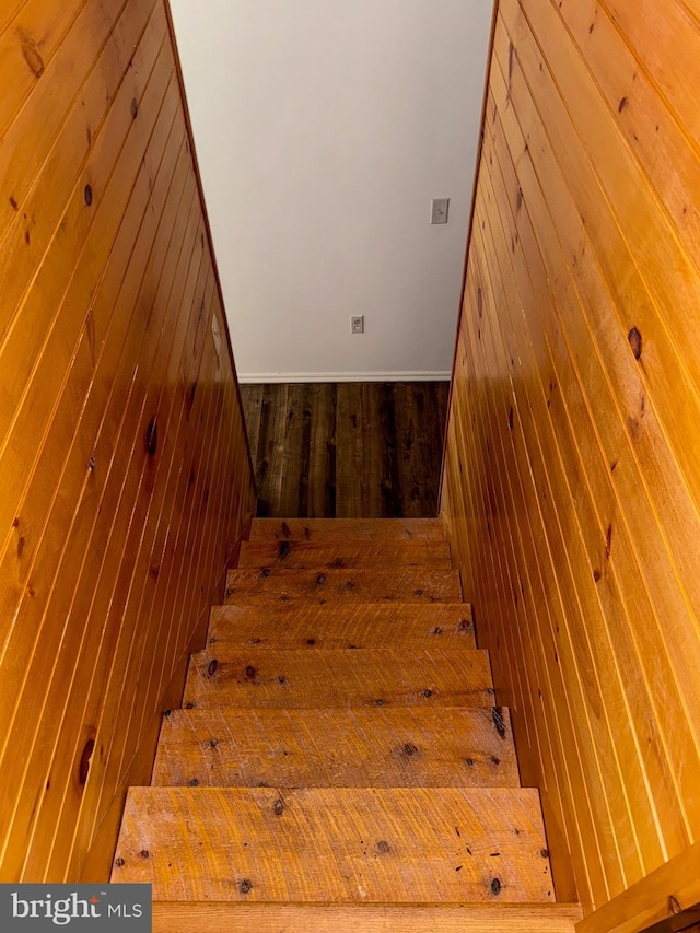 stairway with hardwood / wood-style floors