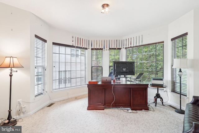 15303 Glastonbury Way, Upper Marlboro, MD 20774 - office space with light carpet, healthy amount of natural light, and baseboards