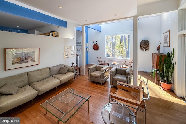 living room featuring wood-type flooring