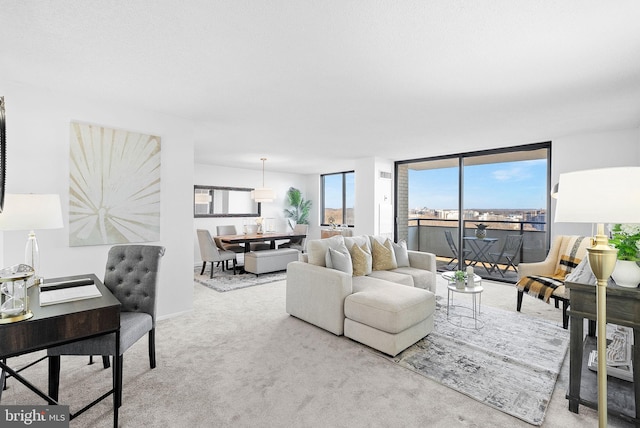 view of carpeted living room