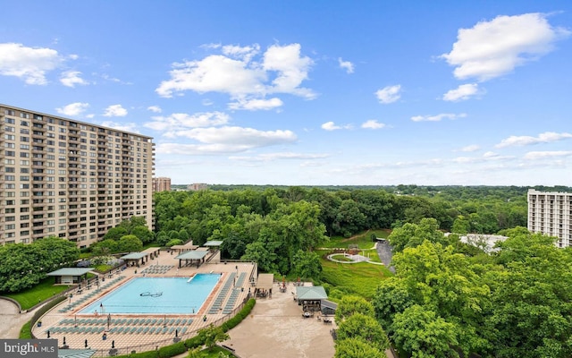 view of pool with a patio