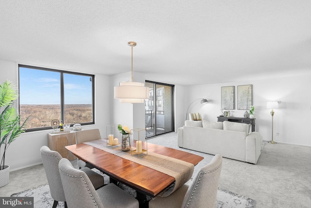 carpeted dining room featuring a textured ceiling