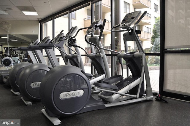 workout area with plenty of natural light and a drop ceiling