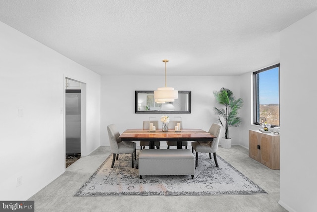 carpeted dining area featuring a textured ceiling