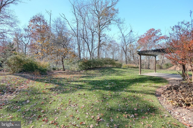 view of yard featuring a pergola