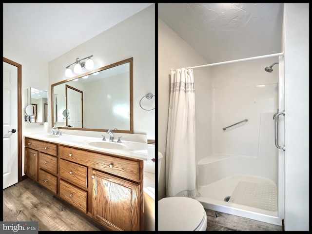 bathroom featuring vanity, toilet, wood-type flooring, and curtained shower