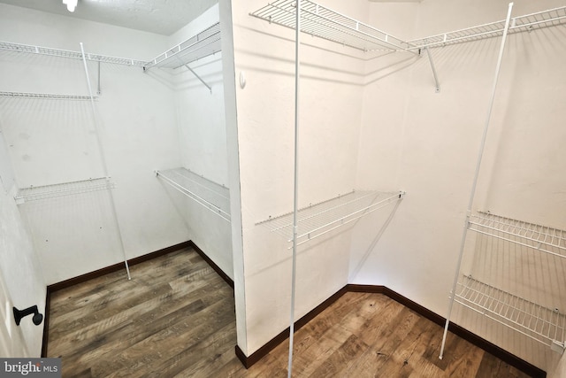 walk in closet featuring hardwood / wood-style floors