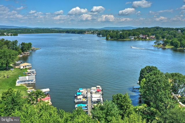 41 Howard Dr, East Berlin, PA 17316 - bird's eye view with a water view