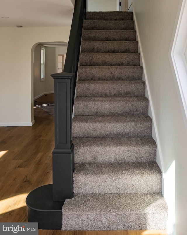 stairs with hardwood / wood-style floors