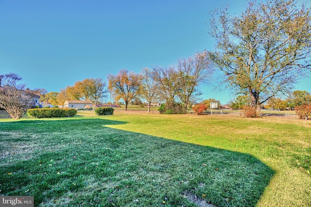 view of yard