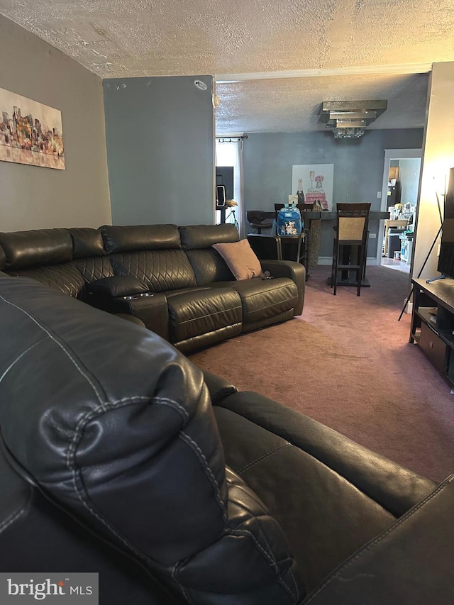 living room with carpet flooring and a textured ceiling