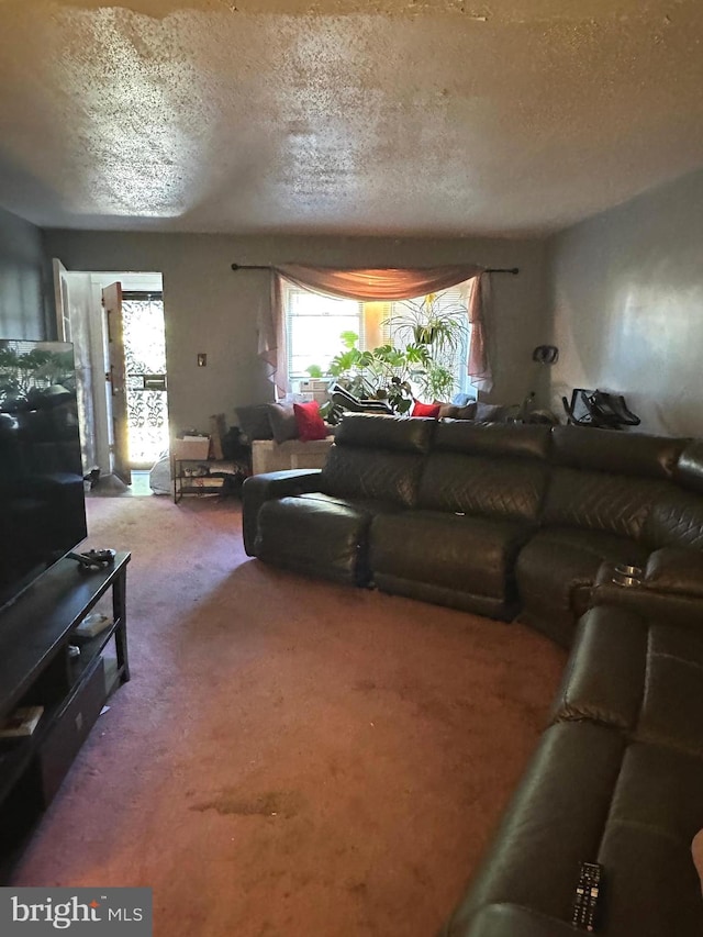 carpeted living room with a textured ceiling