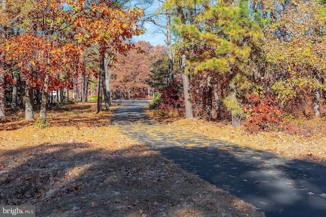 view of road