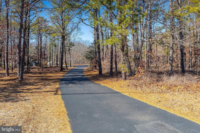 view of road