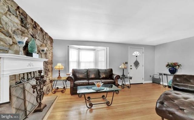 living room featuring a fireplace and hardwood / wood-style flooring