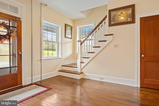 foyer featuring dark hardwood / wood-style flooring and a wealth of natural light