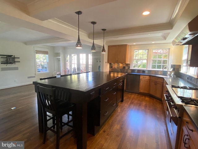 kitchen featuring dark wood-type flooring, a wealth of natural light, exhaust hood, and sink