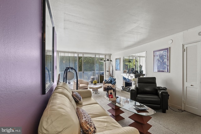 carpeted living room with a textured wall and baseboards