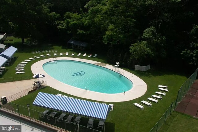 view of pool with a yard