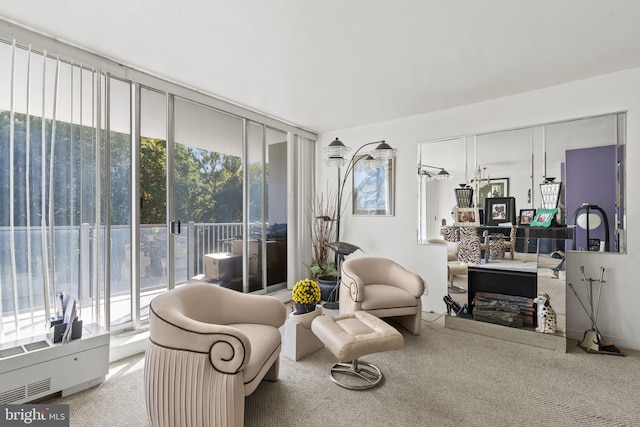 sitting room with carpet