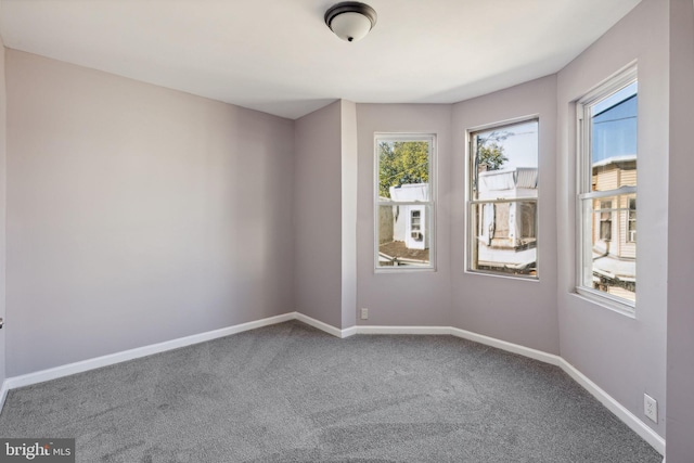 spare room featuring carpet flooring