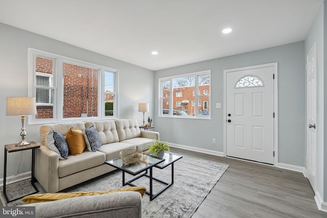 living room with wood-type flooring