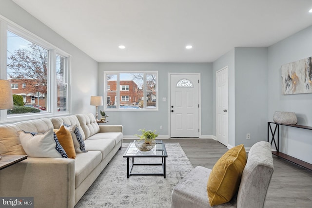 living room with hardwood / wood-style flooring