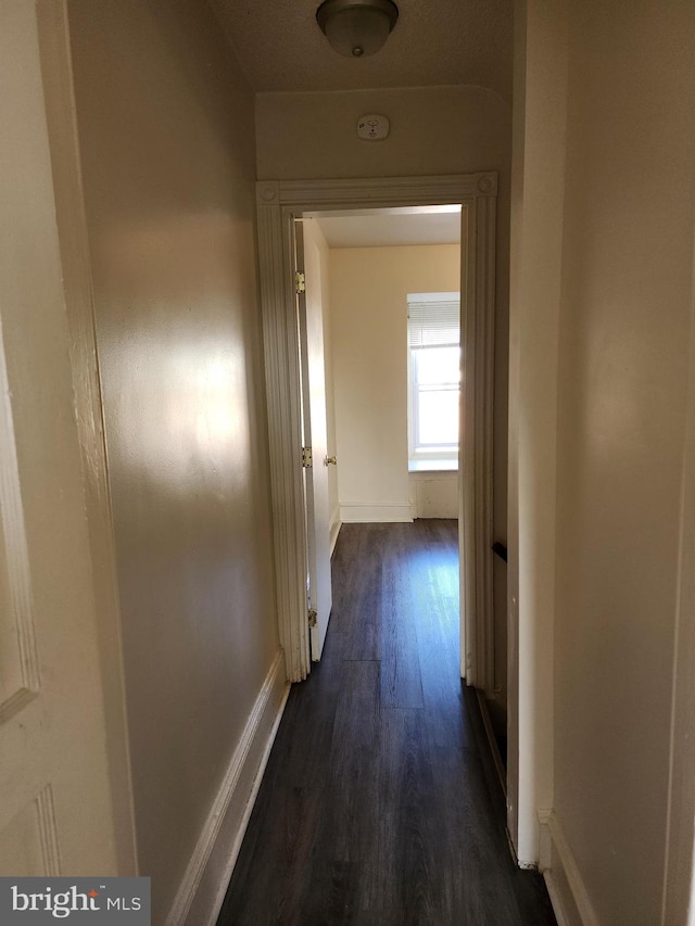 hallway with dark hardwood / wood-style flooring