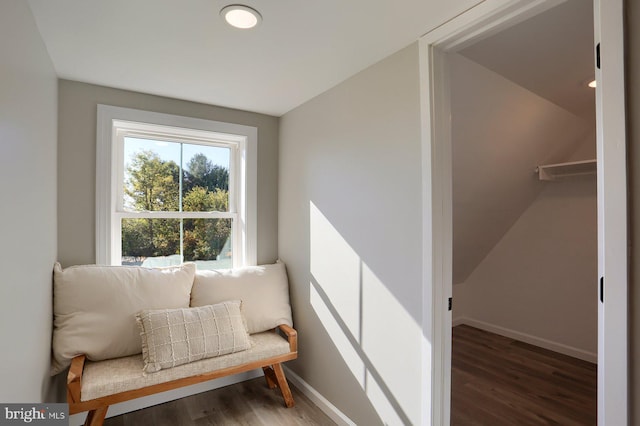 living area with lofted ceiling and dark hardwood / wood-style floors