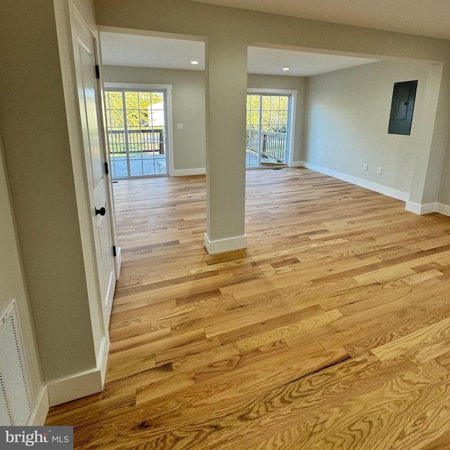 spare room with light wood-type flooring, electric panel, and plenty of natural light