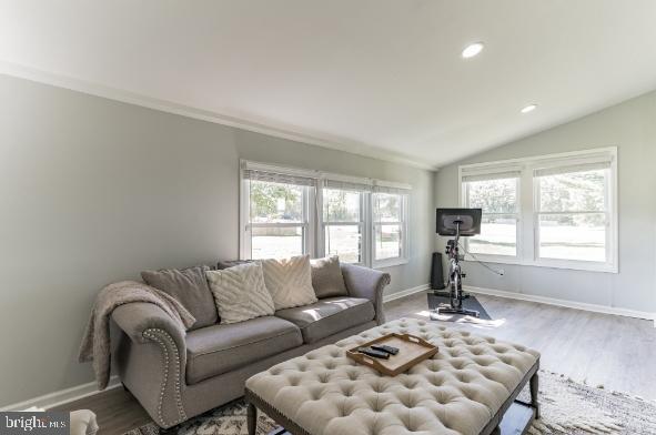 living room featuring crown molding, hardwood / wood-style flooring, and lofted ceiling