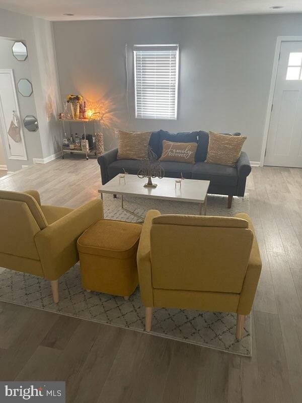 living room with hardwood / wood-style floors