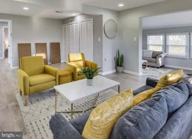 living room featuring hardwood / wood-style flooring