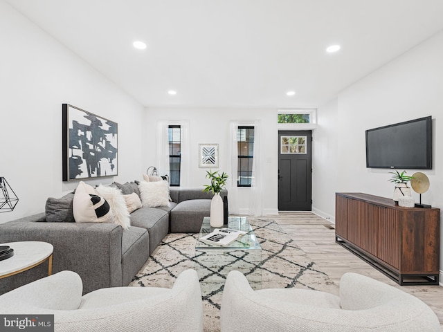 living room featuring light hardwood / wood-style floors and a healthy amount of sunlight