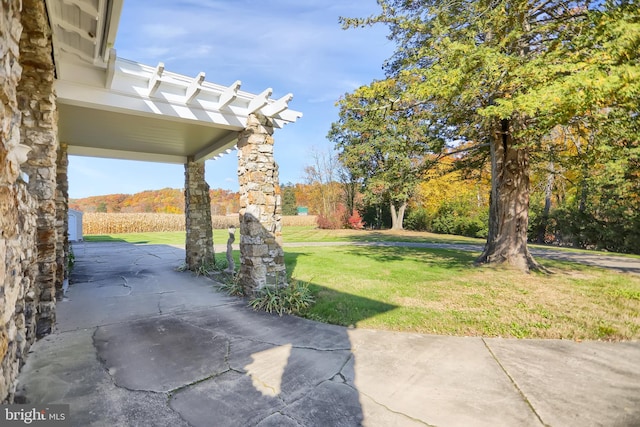 view of yard featuring a patio