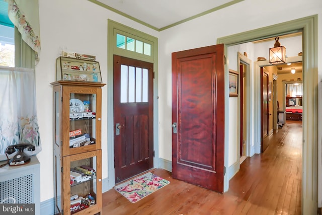 foyer with crown molding and wood-type flooring