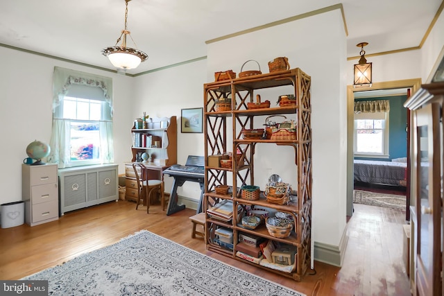 home office with light hardwood / wood-style floors, crown molding, radiator, and a wealth of natural light