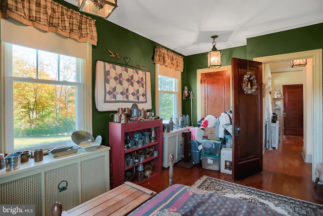 bedroom featuring ornamental molding and dark hardwood / wood-style flooring