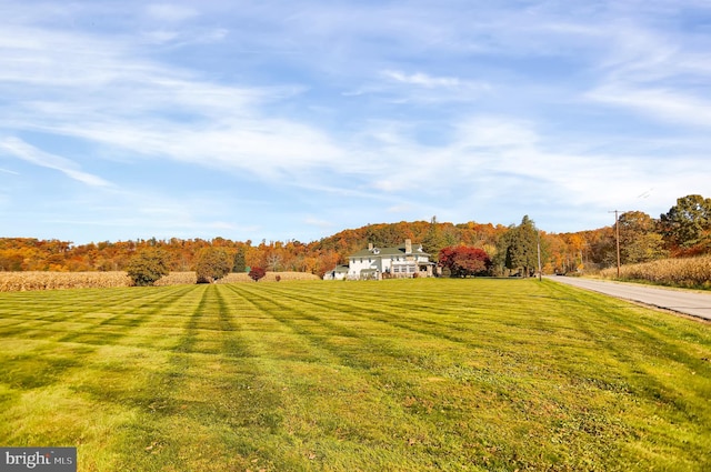 view of yard featuring a rural view