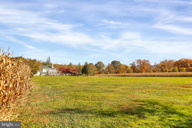 view of yard with a rural view