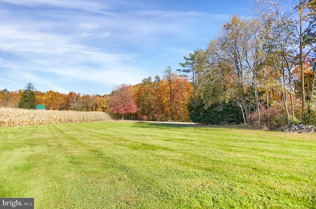 view of yard featuring a view of trees