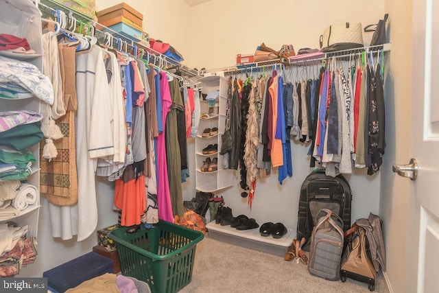 spacious closet with carpet flooring