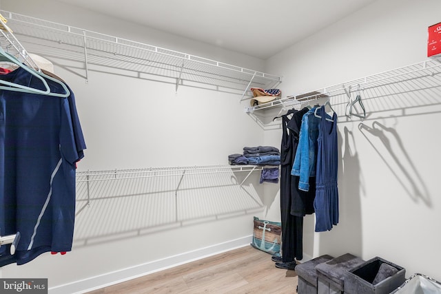 spacious closet featuring hardwood / wood-style flooring