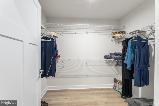 walk in closet with hardwood / wood-style floors