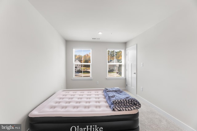 bedroom featuring carpet floors