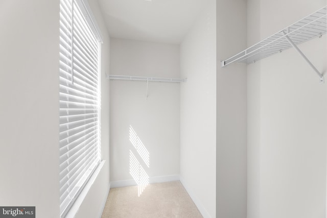 walk in closet with light colored carpet