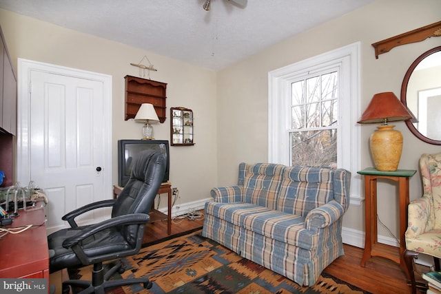 office space featuring a textured ceiling and dark hardwood / wood-style floors