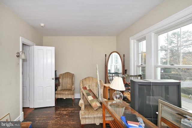 interior space featuring dark hardwood / wood-style floors and a healthy amount of sunlight