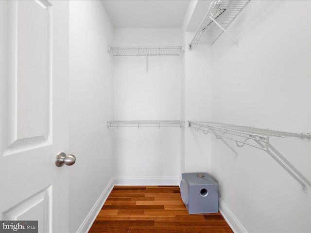 spacious closet featuring wood finished floors