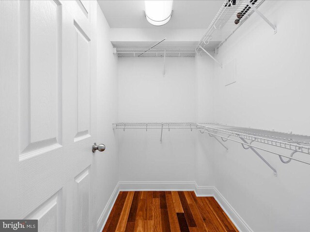 spacious closet with dark wood-style flooring